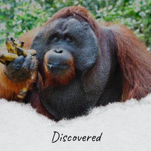 Discovered