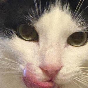 Freaks VS Can't Hold Us (Josh Le Tissier Big Room Techno Mashup) (DJ Rusty remix)