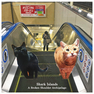 Shark Island (Crow Versus Crow Session)