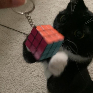 Rubik's Cube