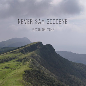 Never Say Goodbye