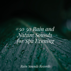 Swift Current Dreams