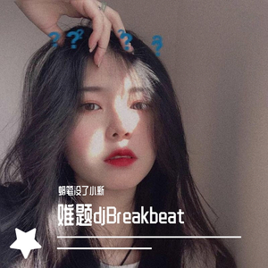 Li-2c-难题djBreakbeat（蜡笔没了小新 remix）