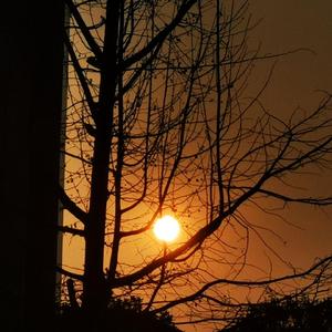 H9-她_mixdown（初酒 / 蛋黄同学 remix）