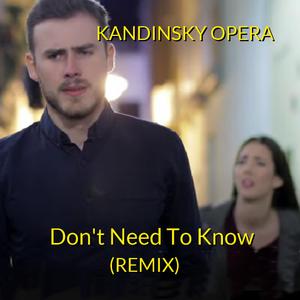 Don't Need To Know (Remix)