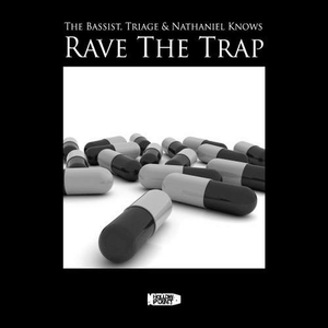Rave the Trap (Original Mix)