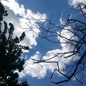 STYX HELIX (Apuru feat. MYTH & ROID)