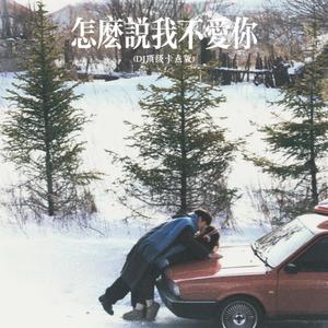 怎么说我不爱你 (Dj顶级卡点版)