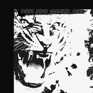 Turbo Tiger Roundhouse Kick