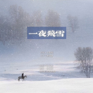 一夜飞雪
