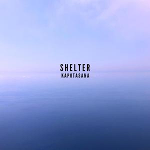 Shelter