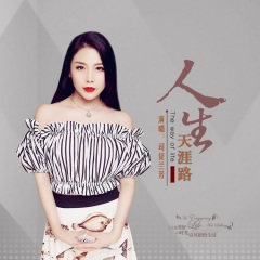人生天涯路DJ版
