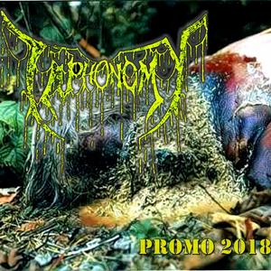 Intermedihorror (Taphonomy)