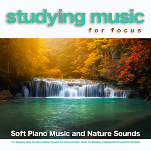 Music For Focus and Concentration