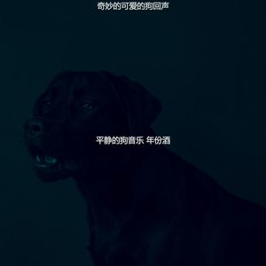 安静的小狗声音