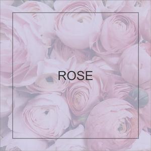 Peace in the Rose Garden (Kalimba)