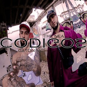 Codigos