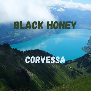 Black Honey