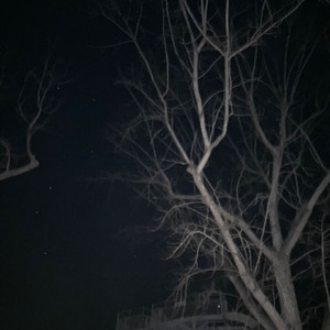 The Flour Don't Feel Like Home