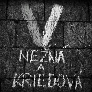 Kriedny nepriateľ (Acoustic)