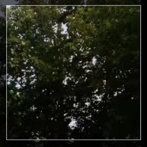 这扯淡的人生1675150290465_183735_track0_183735