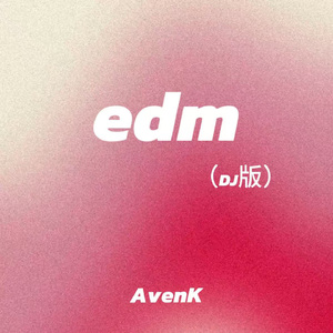 edm（DJ版）
