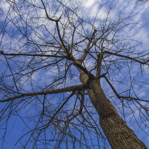 我们最后的默契是同时说了对不起