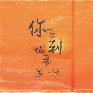 你飞到城市另一边