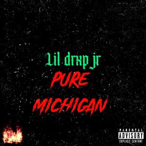 Pure michigan