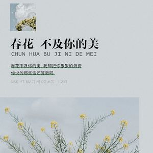 春花不及你的美