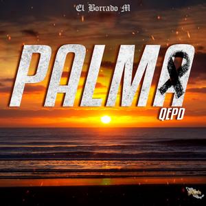 Palma QEPD