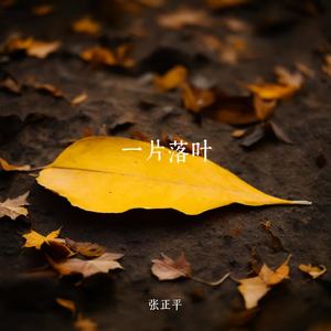 一片落叶