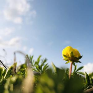 爱你就像爱生命