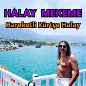 Hareketli Halay, 1. Kısım