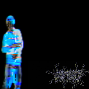 WBOTY
