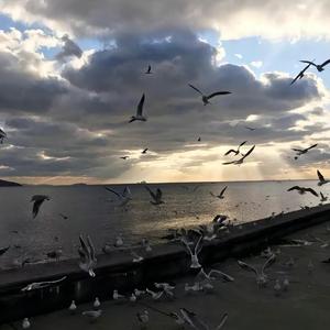 平凡之路不平凡（卓别林 Remix）