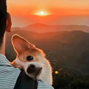 毛衣针下暮色里的月光旧梦