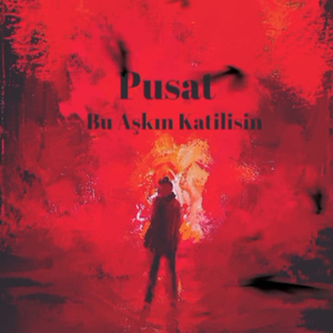 Bu Aşkın Katilisin