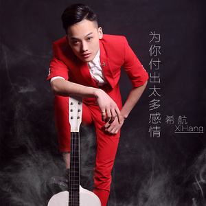 为你付出太多感情