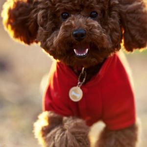 cd09ae4b73614daa462877ae10eaf65c