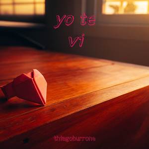 yo te vi