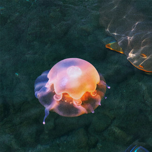 part.ii