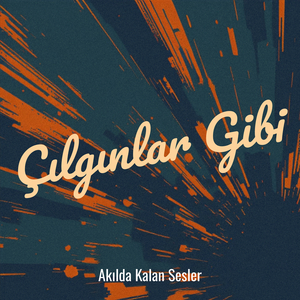 Çılgınlar Gibi