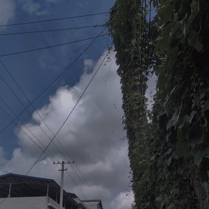 2021.9.28随便写的