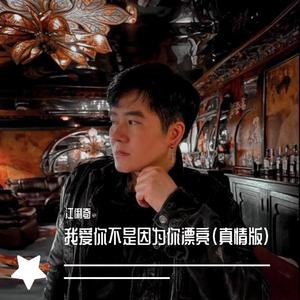 我爱你不是因为你漂亮（真情版）