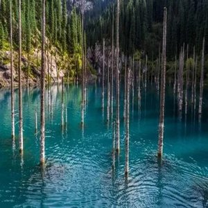 Waiting for Tropical Love