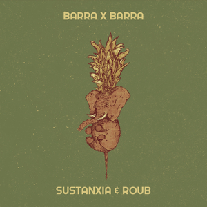 Barra X Barra
