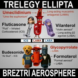 Trelegy vs Breztri (Beachy Version)