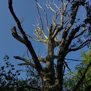 诗人（Outro：退场）