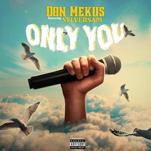 Only You (feat. SylverSam)